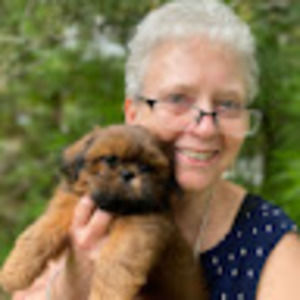 Meet your Posher, Downsizing